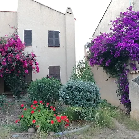 Accueillant A Lumio - 30 M² Avec Terrasse Et Jardin Privatif *