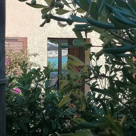 דירה Accueillant A Lumio - 30 M² Avec Terrasse Et Jardin Privatif *