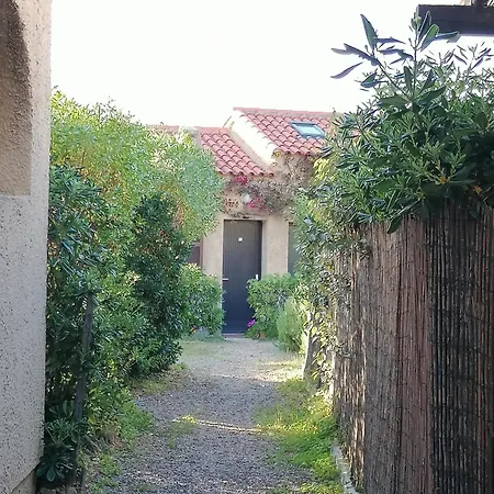 דירה Accueillant A Lumio - 30 M² Avec Terrasse Et Jardin Privatif קלנצאנה
