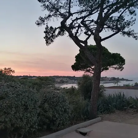 Accueillant A Lumio - 30 M² Avec Terrasse Et Jardin Privatif