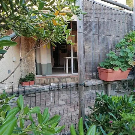 Accueillant A Lumio - 30 M² Avec Terrasse Et Jardin Privatif Calenzana