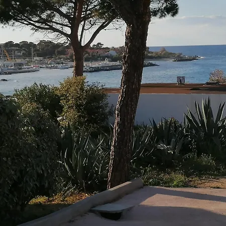 Accueillant A Lumio - 30 M² Avec Terrasse Et Jardin Privatif Appartamento *