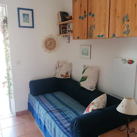 Accueillant A Lumio - 30 M² Avec Terrasse Et Jardin Privatif *